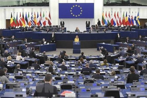 Toàn cảnh một phiên họp Nghị viện châu Âu tại Strasbourg, miền đông nước Pháp. (Ảnh: AFP/ TTXVN)