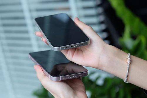 Apple được cho là sẽ cho ra mắt 4 model iPhone mới gồm iPhone 14, iPhone 14 Max, iPhone 14 Pro và 14 Pro Max. Phiên bản iPhone mini được cho sẽ bị khai tử do doanh số không khả quan.