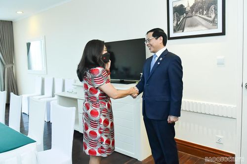 Bộ trưởng Ngoại giao Bùi Thanh Sơn gặp Bộ trưởng Thương mại quốc tế, doanh nghiệp vừa và nhỏ và xúc tiến xuất khẩu Canada Mary Ng. (Ảnh: Tuấn Anh)