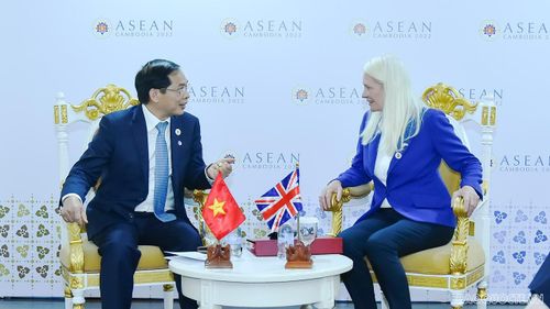 Bộ trưởng Ngoại giao Bùi Thanh Sơn gặp Quốc vụ khanh Bộ Ngoại giao Anh Amanda Milling. (Ảnh: Tuấn Anh)