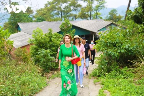Lễ hội chùa Lôi Âm được tổ chức vào ngày 27 tháng Giêng hàng năm, thu hút rất đông du khách, phật tử đến chùa dâng hương cúng Phật, cầu an.
