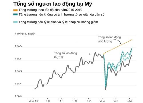  Tổng lực lượng lao động của Mỹ sụt giảm nghiêm trọng. Nguồn: FED Kantas City. 