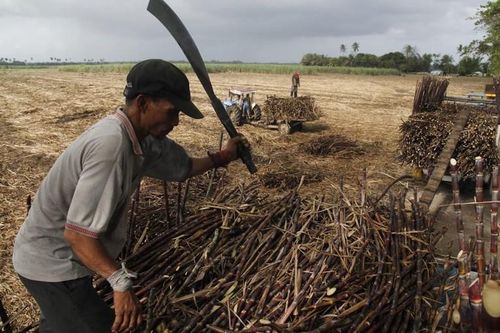 Sản lượng đường thô tại Philippines suy giảm do ảnh hưởng bởi cơn bão Rai năm 2021. Ảnh: Licas News