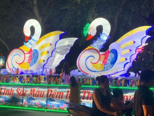 Hình tượng cặp thiên nga rực sáng trong đêm