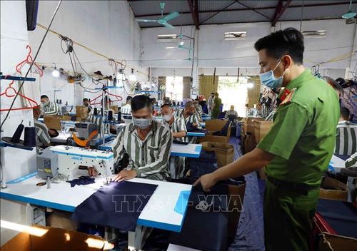 Cán bộ trại giam Ninh Khánh (Cục Cảnh sát quản lý trại giam, cơ sở giáo dục bắt buộc, trường giáo dưỡng, Bộ Công an) hướng dẫn phạm nhân lao động sản xuất.