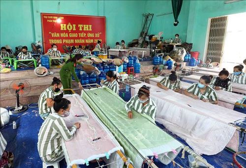 Tại Trại giam Ninh Khánh, các phạm nhân được hướng nghiệp dạy các nghề như: Đan lát, may công nghiệp, mộc, đá mỹ nghệ...