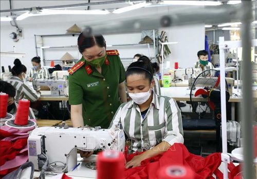 Mỗi phạm nhân tại trại giam Ninh Khánh đều được hướng nghiệp dạy nghề trong thời gian chấp hành án. Chỉ những phạm nhân cải tạo khá tốt và đủ điều kiện tiêu chuẩn theo Quyết định về Đặc xá của Chủ tịch nước mới được xét đề nghị đặc xá.