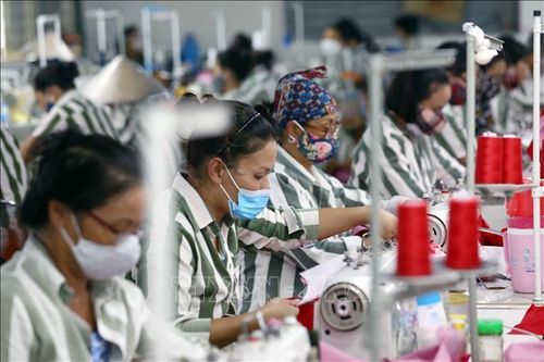 Trại giam Ninh Khánh (Cục Cảnh sát quản lý trại giam, cơ sở giáo dục bắt buộc, trường giáo dưỡng, Bộ Công an) tổ chức hướng nghiệp dạy các nghề như: Đan lát, may công nghiệp, mộc, đá mỹ nghệ....