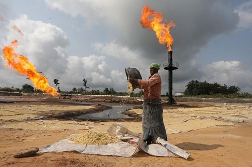 Ảnh minh họa: Reuters