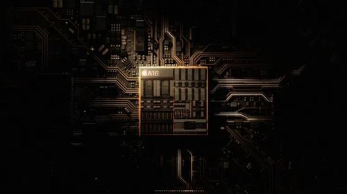 Các mẫu iPhone 14 và 14 Pro có cùng chip Wi-Fi như iPhone 11 (Ảnh: Poketnow)