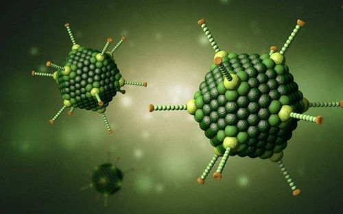 Virus Adeno