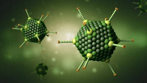 Adenovirus.