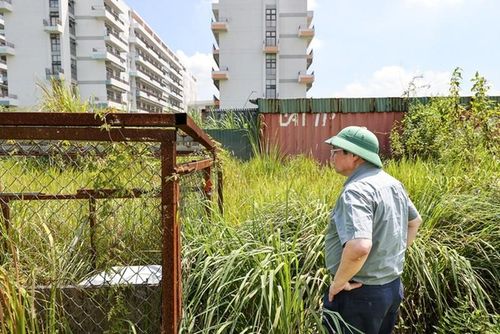 Thủ tướng kiểm tra thực địa dự án. Ảnh VGP 