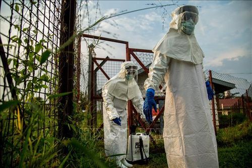 Nhân viên y tế làm việc tại khu vực điều trị cho bệnh nhân nhiễm Ebola tại Bundibugyo, Uganda. Ảnh tư liệu: AFP/TTXVN