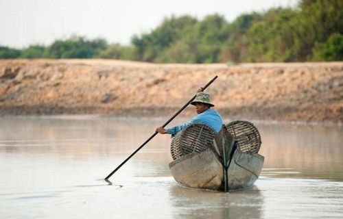 (Nguồn: thethirdpole.net)