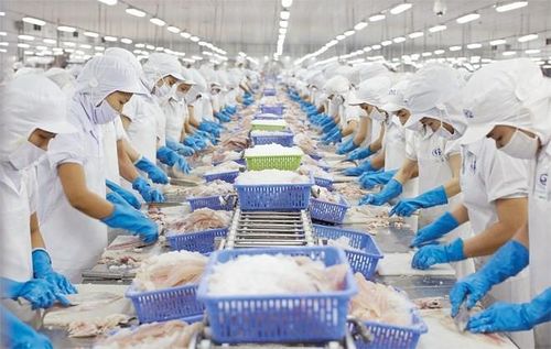 Giá nguyên liệu đầu vào tăng cao, cộng với biến động tỷ giá khiến xuất khẩu thủy sản gặp không ít khó khăn.