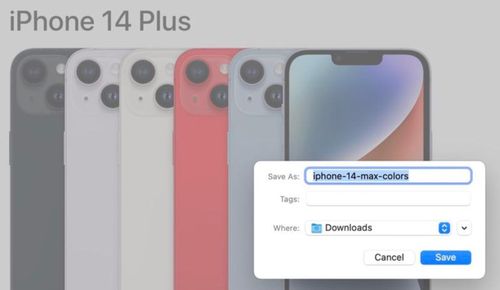  Hình ảnh của iPhone 14 Plus được đặt tên iPhone 14 Max. Ảnh: MacRumors. 