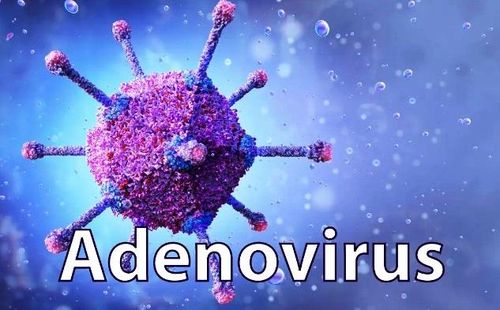 Hiện nay chưa có thuốc điều trị đặc hiệu Adenovirus, nhưng may mắn là bệnh thường tự ổn định sau 7 – 10 ngày. Ảnh minh họa.