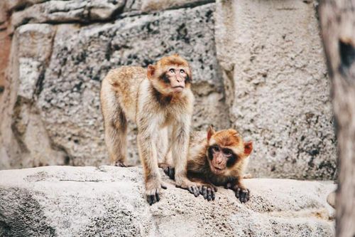 Ảnh: Unsplash