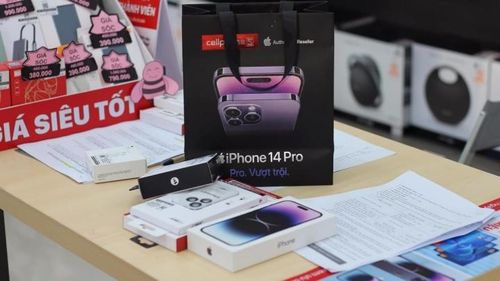 Hai phiên bản iPhone 14 và 14 Plus ghi nhận mức quan tâm khá thấp từ người dùng Việt Nam.