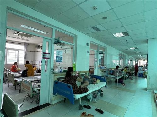 Khoa Sốt xuất huyết, Bệnh viện Nhi đồng thành phố Cần Thơ cũng luôn quá tải. (Ảnh: TTXVN )