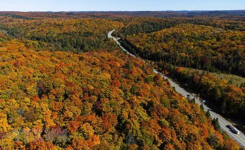 Cảnh mùa Thu tại Ontario, Canada, ngày 3/10/2022. (Ảnh: THX/TTXVN)
