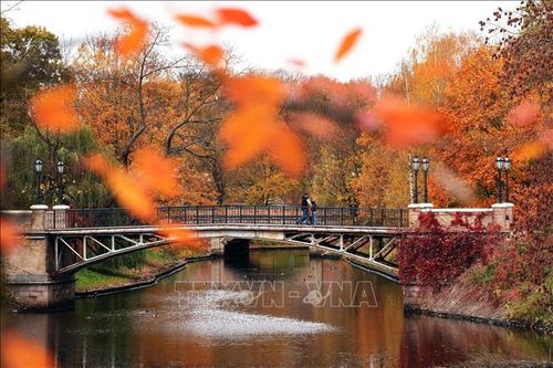 Cảnh sắc mùa thu ở Riga, Latvia, ngày 24/10/2022. Ảnh: THX/TTXVN