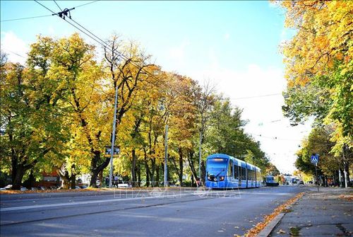 Cảnh mùa thu tại Stockholm, Thụy Điển, ngày 8/10/2022. Ảnh: THX/TTXVN