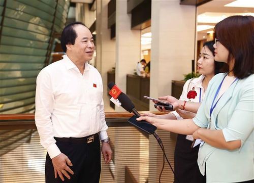 Đại biểu Quốc hội TP Hà Nội Trương Xuân Cừ trả lời phỏng vấn báo chí bên hành lang Quốc hội. Ảnh: Doãn Tấn/TTXVN