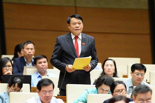 Đại biểu Quốc hội tỉnh Phú Thọ Nguyễn Thành Nam phát biểu ý kiến. Ảnh: Minh Đức/TTXVN