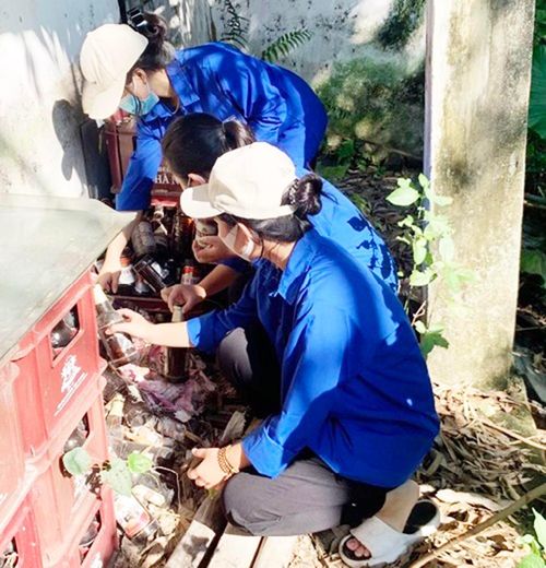 Lực lượng thanh niên xung kích xã Hoàng Diệu, huyện Chương Mỹ tham gia điệt bọ gậy phòng chống sốt xuất huyết.