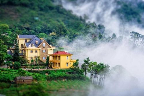 Tam Đảo với cảnh sương khói vờn trên đỉnh núi