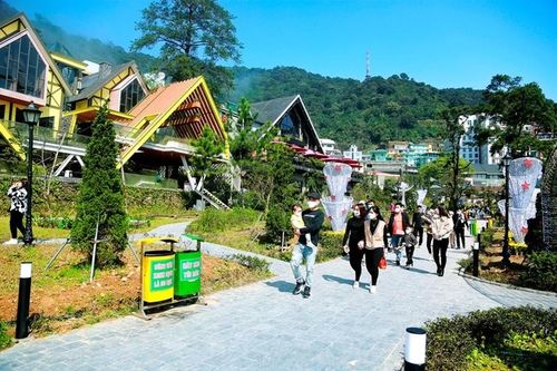 Tam Đảo đang là điểm đến hấp dẫn của du khách trong và ngoài nước