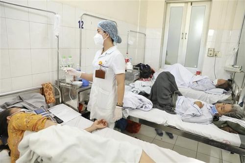 Bệnh nhân sốt xuất huyết điều trị tại bệnh viện Bệnh Nhiệt đới Trung ương. Ảnh: Minh Quyết/TTXVN.