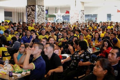 Người hâm mộ Ecuador theo dõi trận khai mạc World Cup từ thành phố Ibarra, Ecuador. (Ảnh: Reuters)