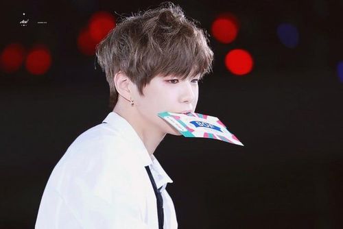 Kang Daniel