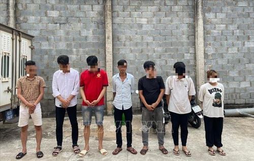 Các đối tượng bị bắt giữ. Ảnh: TTXVN phát