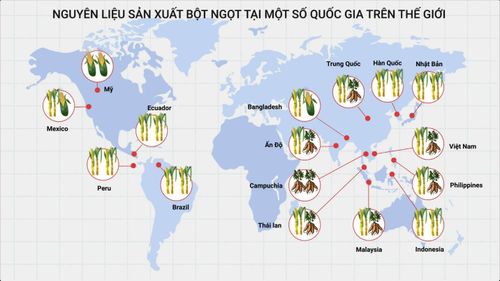 Bột ngọt được sản xuất từ các nguyên liệu tự nhiên như mía, ngô, khoai mì…