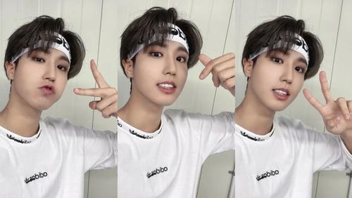 Han (Stray Kids)