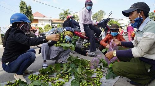 Người bán đem đến bán để lấy lộc đầu năm, còn người mua là muốn “mua” cái lộc đầu năm. Ảnh: Dân trí