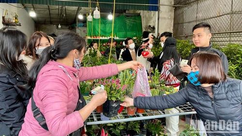 Không đặt nặng giá trị kinh tế, du khách tin rằng những món đồ nho nhỏ như một chậu hoa mua ở chợ Viềng sẽ giúp họ khởi đầu năm mới hanh thông, thuận lợi hơn.