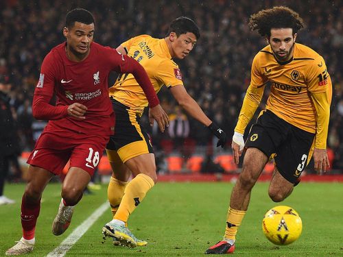Liverpool đã thắng Wolves 7 trận liên tiếp tại Ngoại hạng Anh