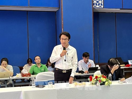 Ông Trần Việt Anh, Tổng Giám đốc Công ty cổ phần Xuất nhập khẩu Nam Thái Sơn phát biểu tại tọa đàm. Ảnh: Hứa Chung - TTXVN
