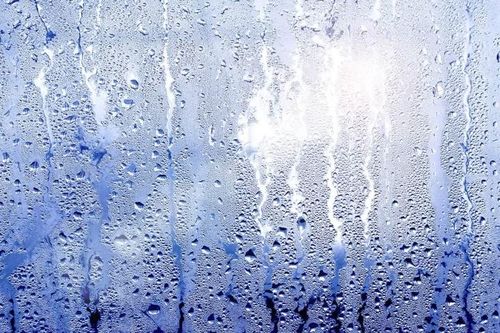 Thời tiết nồm ẩm sẽ tạo điều kiện cho các virus gây bệnh đường hô hấp, sốt phát ban, sởi, cúm... phát triển.