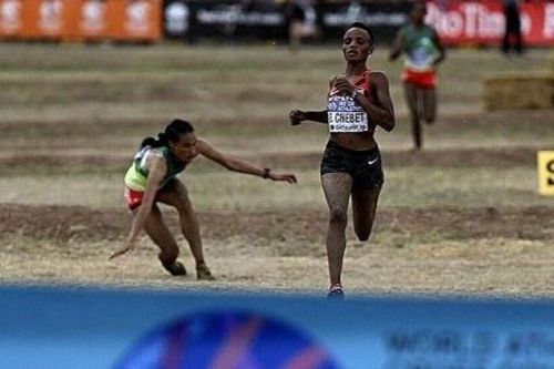 Letesenbet Gidey vấp ngã khi cách vạch đích 30 m và ngậm ngùi nhường chức vô địch cho Beatrice Chebet.