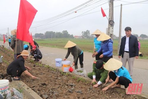 Nhiều tuyến đường được hội viên, phụ nữ và các đoàn thể tham gia trồng cây xanh, dọn vệ sinh môi trường.
