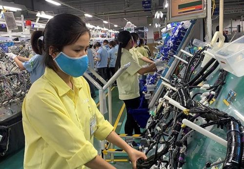 Doanh nghiệp Việt muốn tham gia sâu vào chuỗi giá trị toàn cầu.