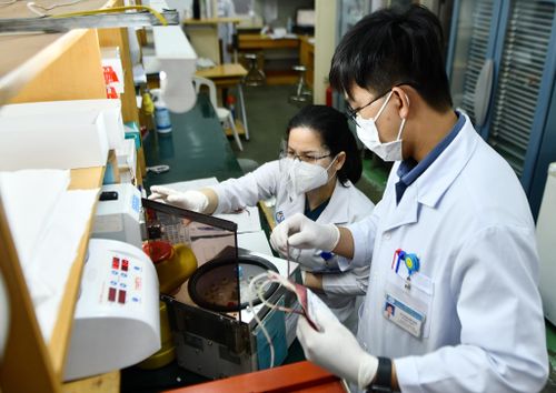 Khu vực làm việc tại Trung tâm Truyền máu Chợ Rẫy. Ảnh: Hoàng Giám.