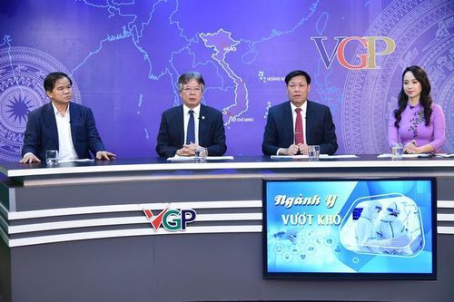 Các chuyên gia tham dự tọa đàm. Ảnh - VGP.