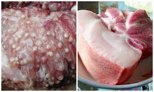 Chớ dại ăn phần này của lợn vì nhiều hạch bạch huyết nhất, nấu 100 độ cũng không sạch nổi chất độc - Tạp chí Doanh Nghiệp Việt Nam